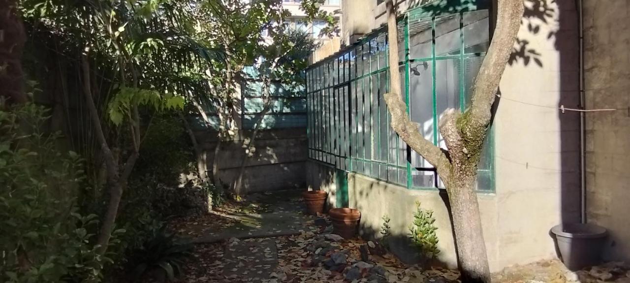 74, Chez Moune Et Mabo Каркасон Екстериор снимка